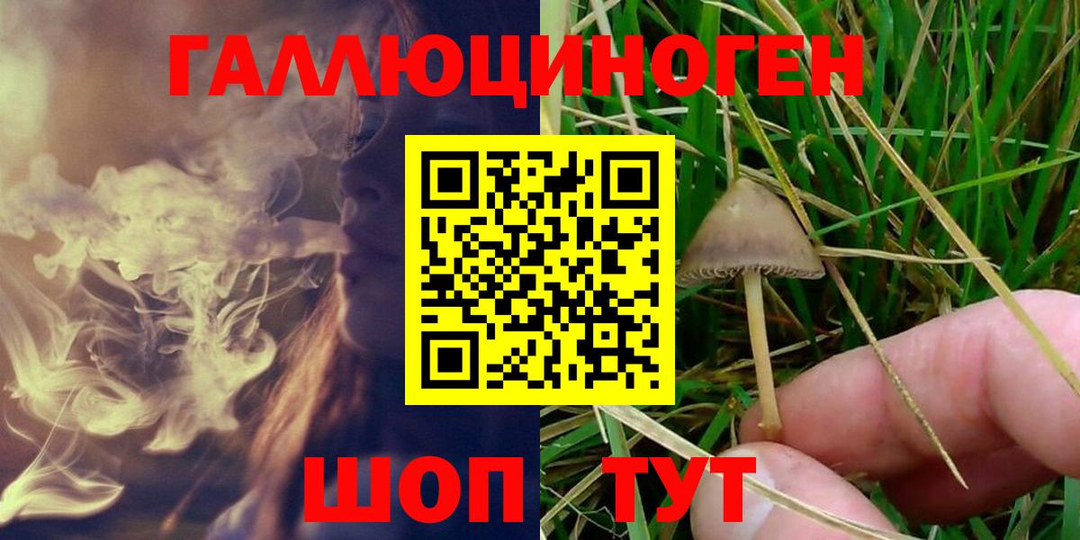 Домодедово  Псилоцибиновые грибы ЛСД  Вход с VPN 