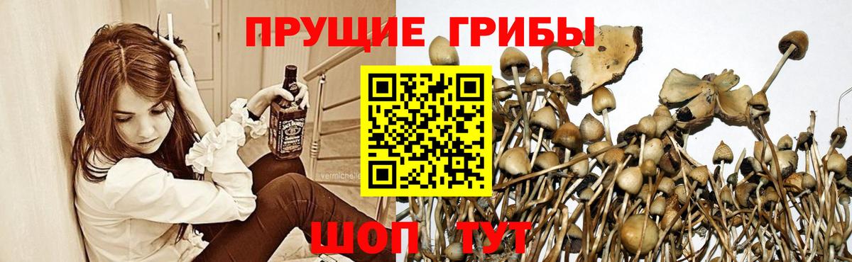 Галлюциногенные грибы прущие грибы Домодедово